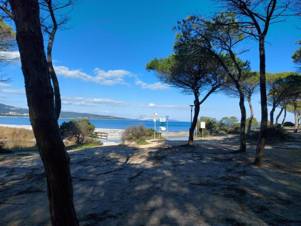 Villa A 200 Metri Dalla Spiaggia Budoni Exteriör bild