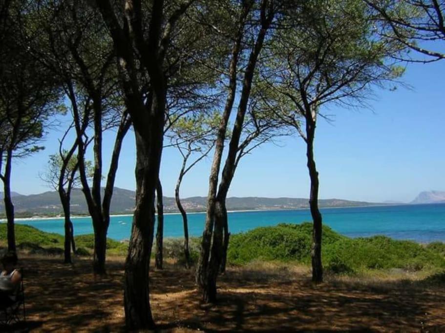 Villa A 200 Metri Dalla Spiaggia Budoni Exteriör bild